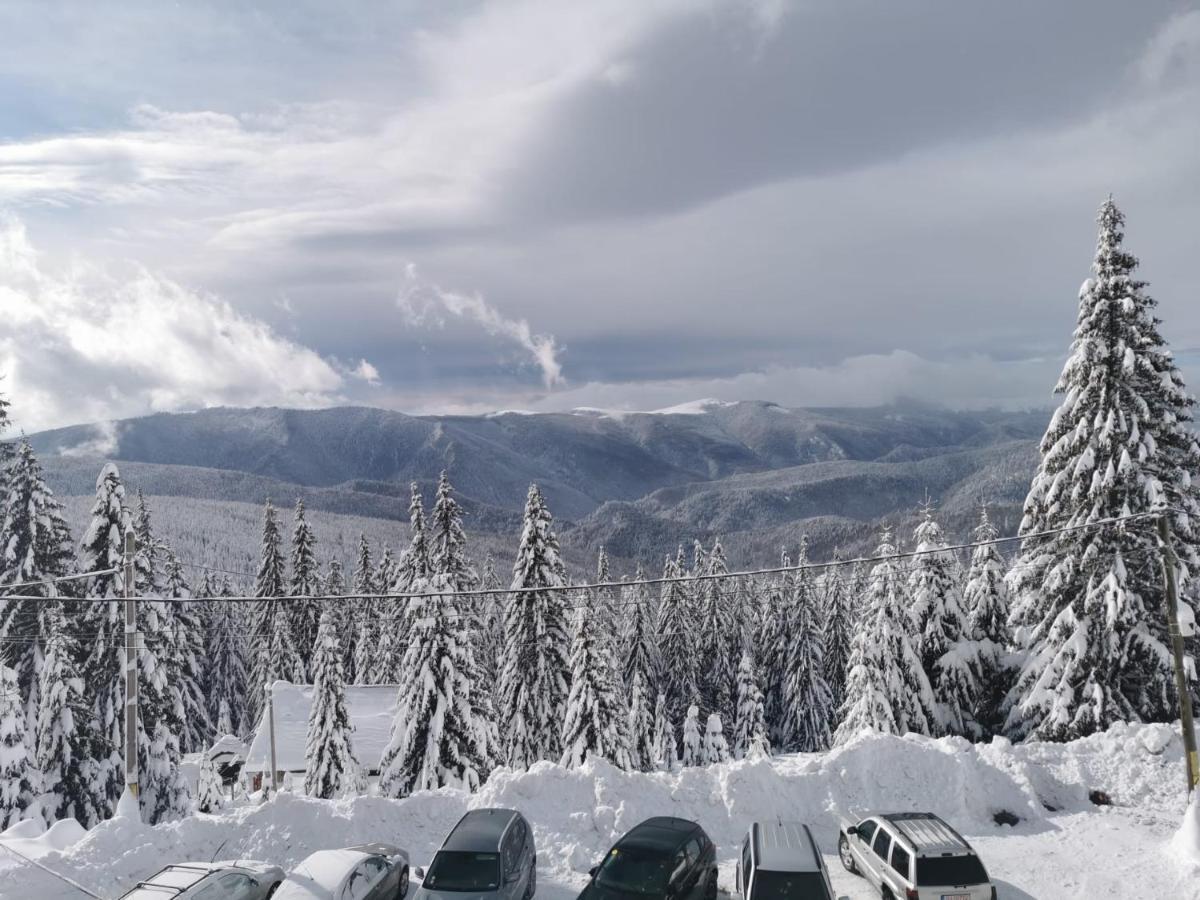 Pensiunea Alpin Rânca Extérieur photo