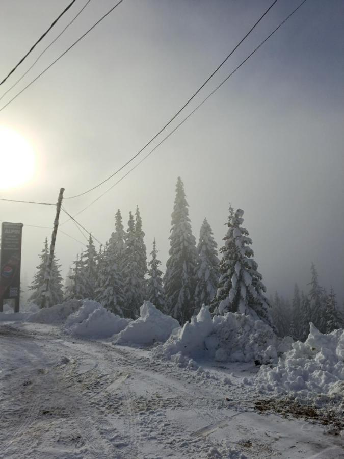 Pensiunea Alpin Rânca Extérieur photo