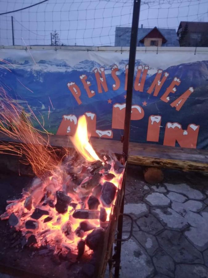 Pensiunea Alpin Rânca Extérieur photo