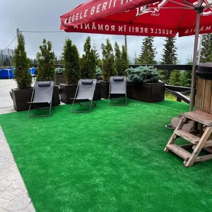 Pensiunea Alpin Rânca Extérieur photo