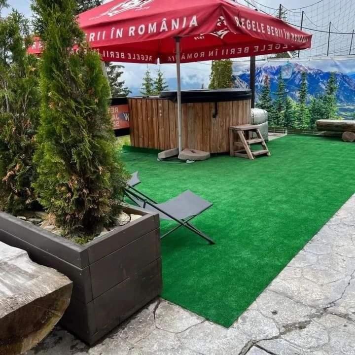 Pensiunea Alpin Rânca Extérieur photo